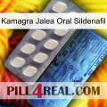 Kamagra Oral Jelly Sildenafil 34